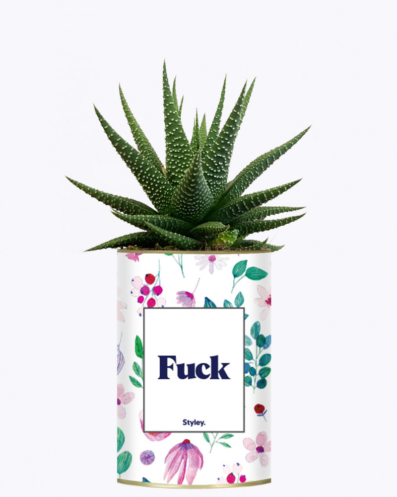 Fuck Cactus I Styley Co