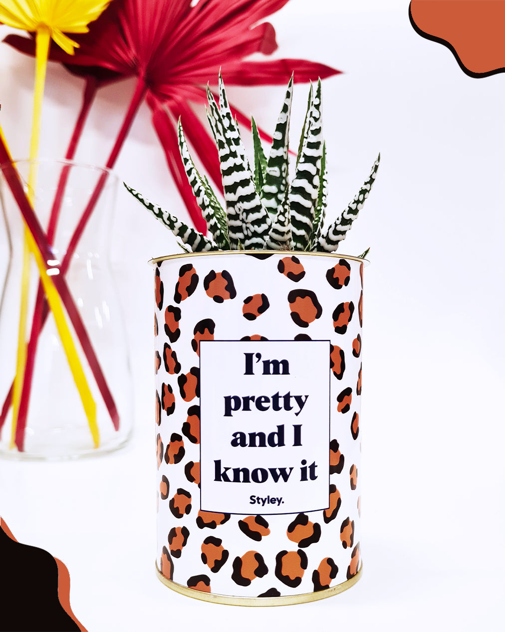 I'm pretty and I know it - Cactus