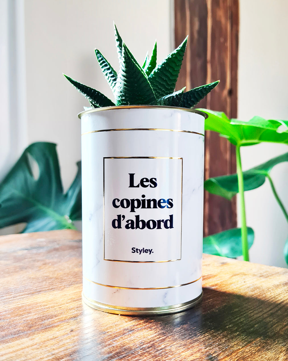 Les copines d'abord - Plante grasse