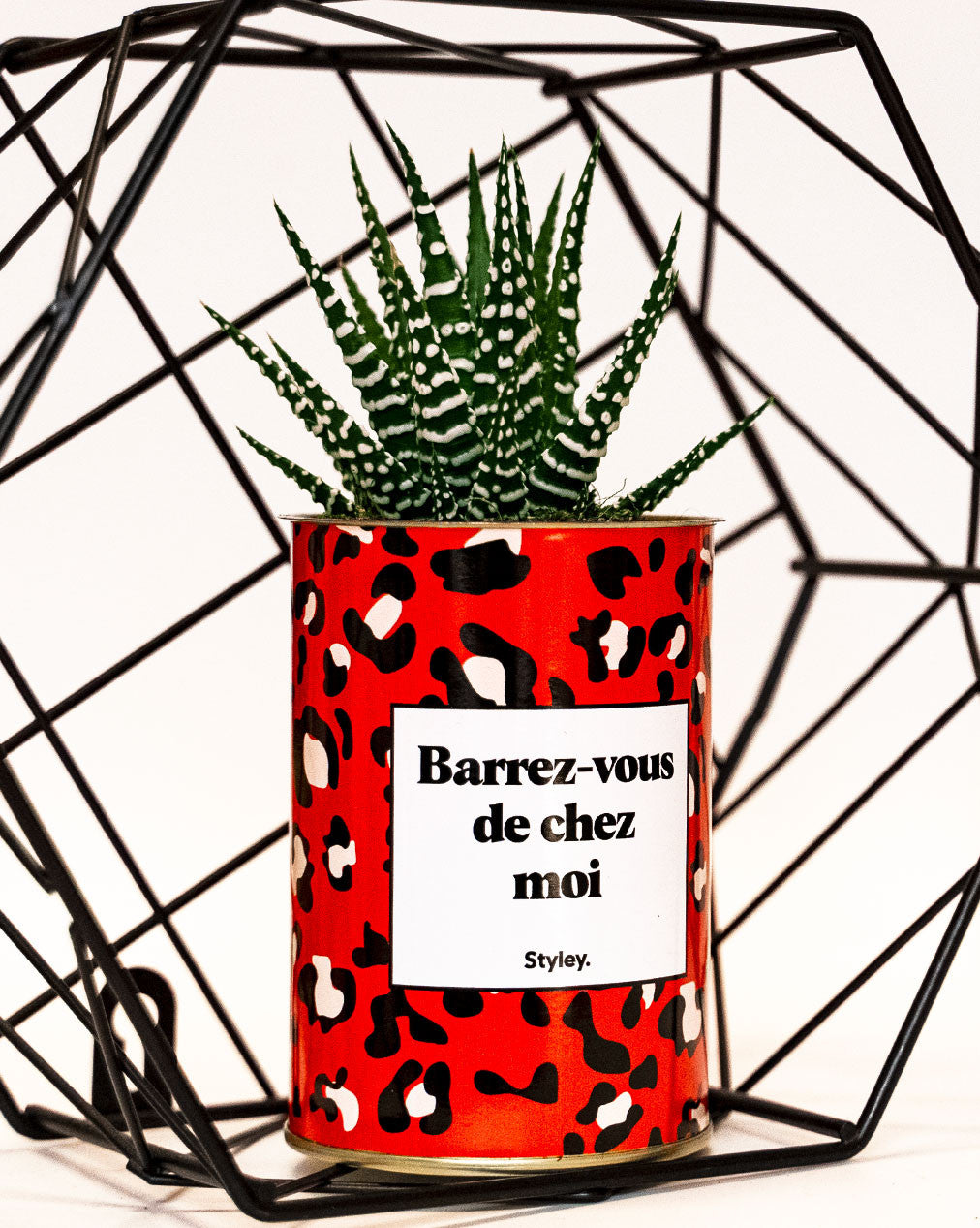 Barrez-vous de chez moi - Cactus