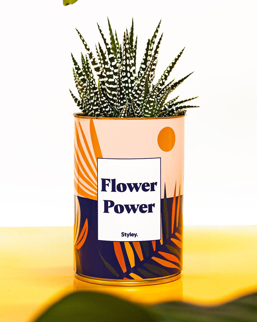 Flower Power - Cactus