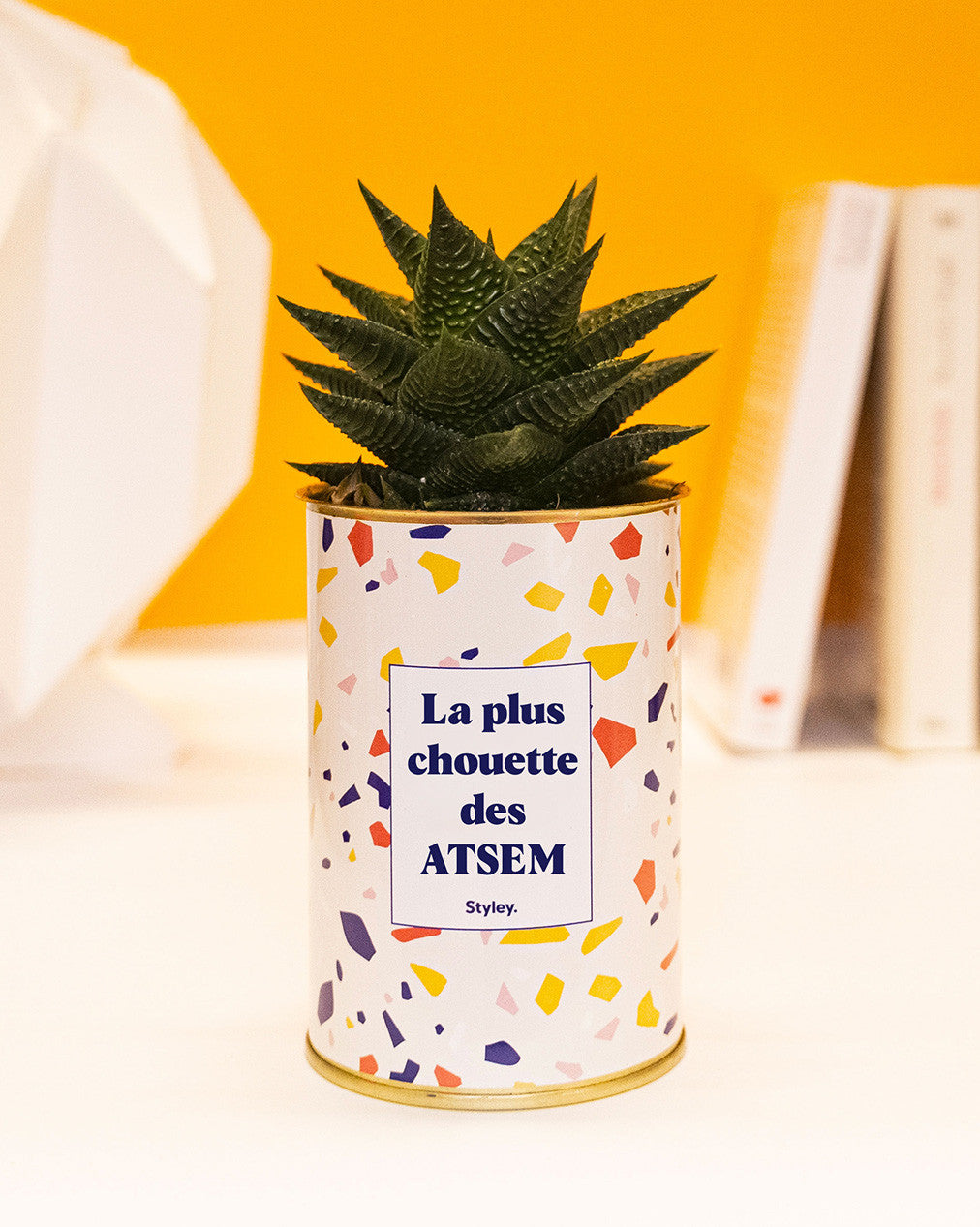 La plus chouette des ATSEM - Cactus