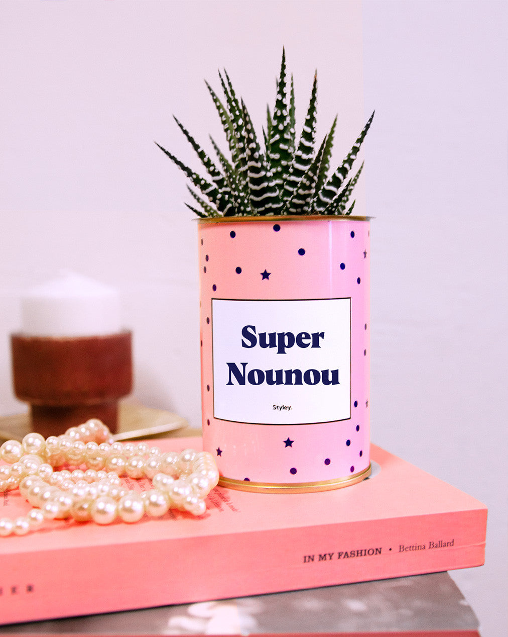 Super Nounou - Cactus