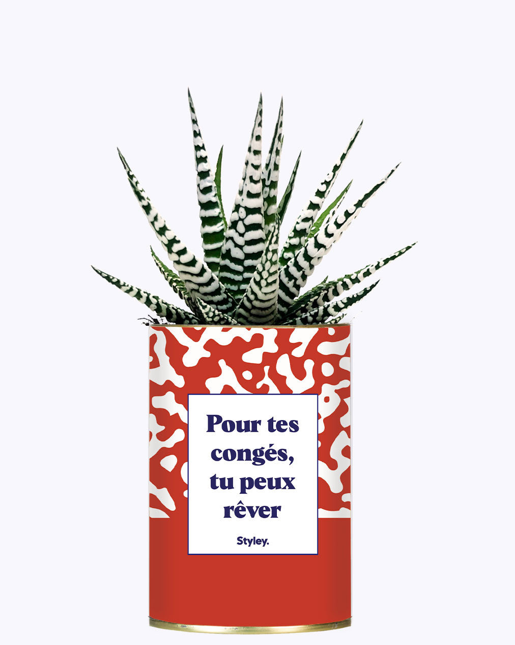 Pour tes congés, tu peux rêver - Cactus