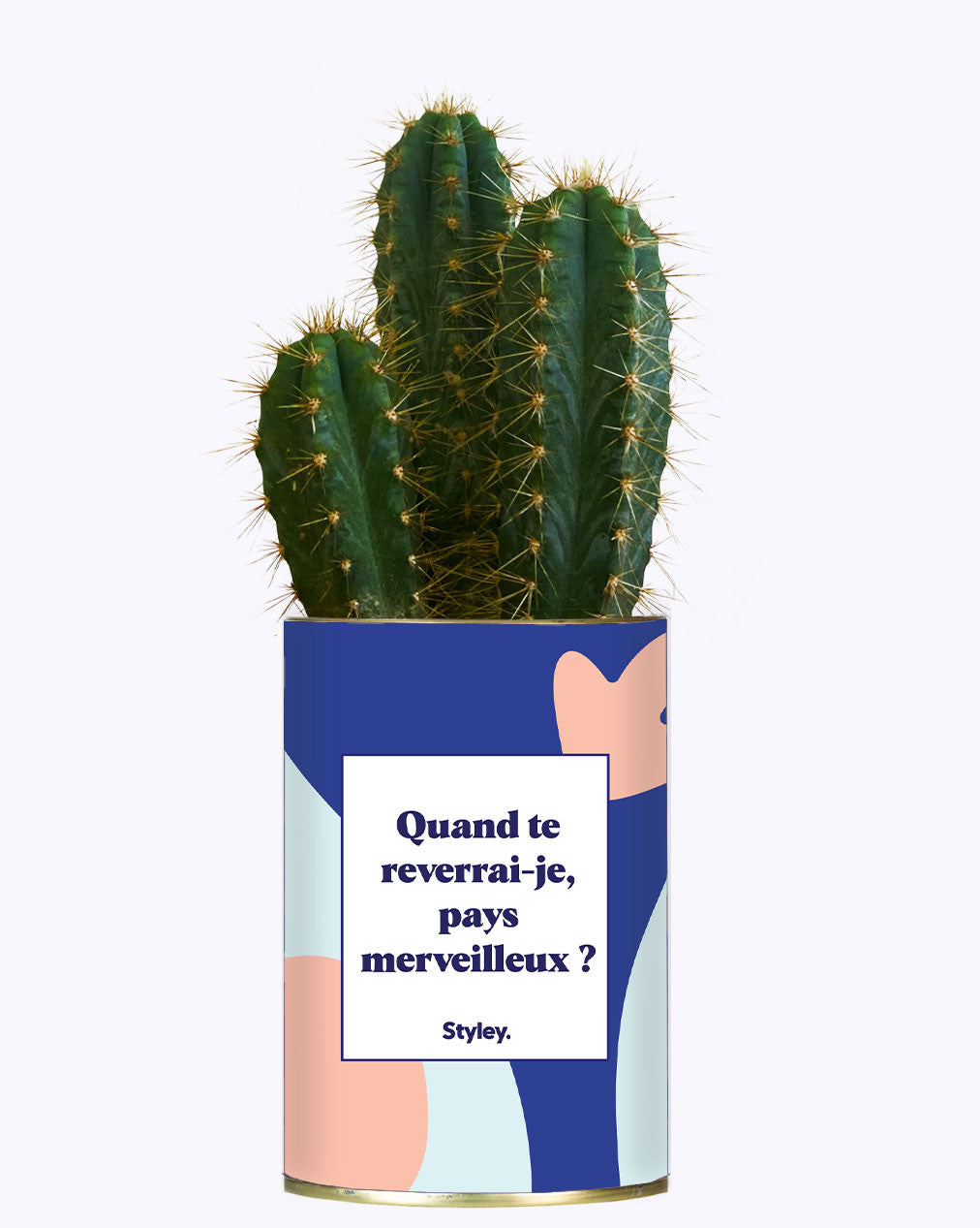 Quand te reverrais-je pays merveilleux ? - Cactus