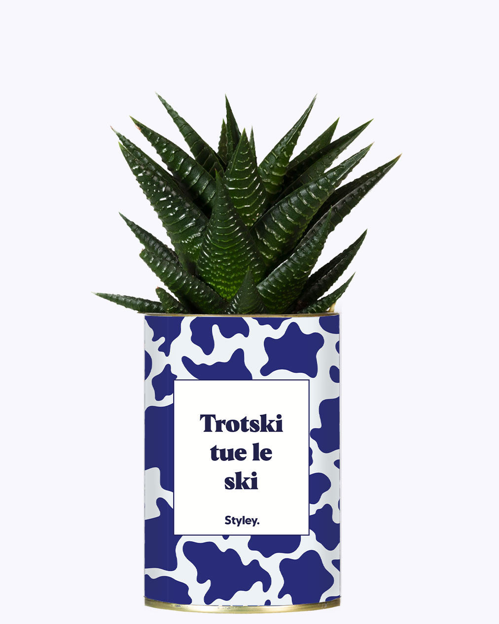 Trotski tue le ski - Cactus