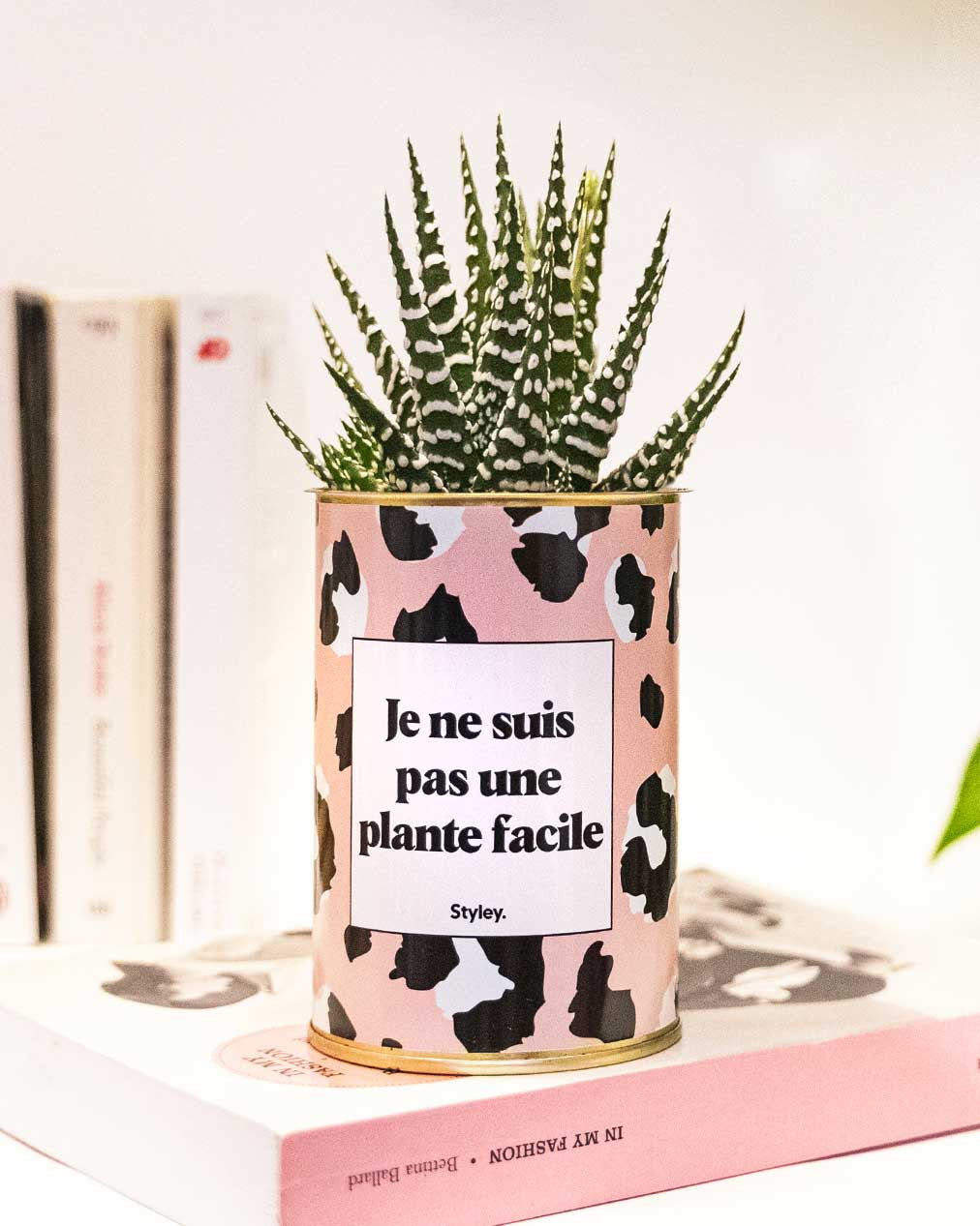 Je ne suis pas une plante facile - Cactus