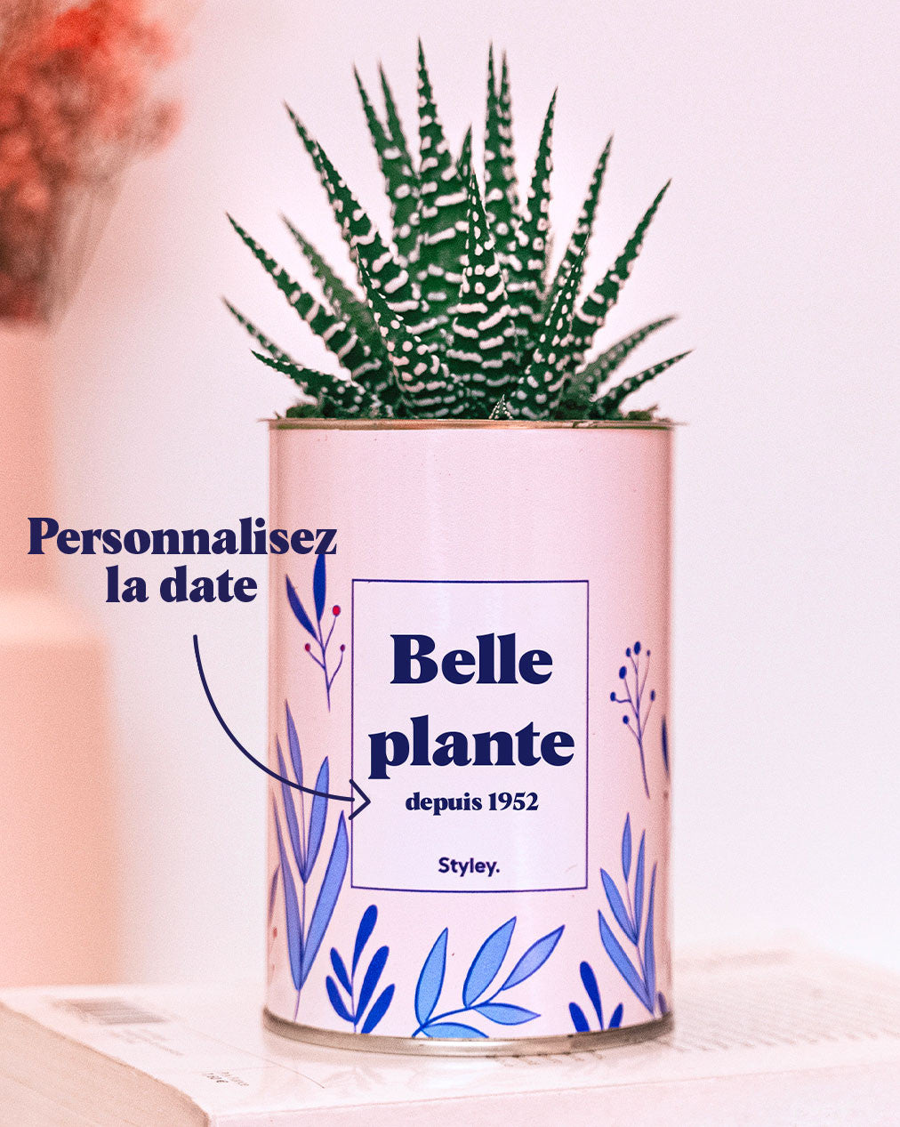 Belle plante personnalisable - Cactus