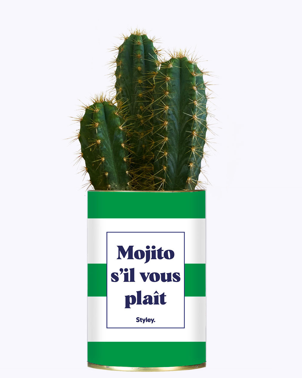 Mojito S'il vous plait - Cactus