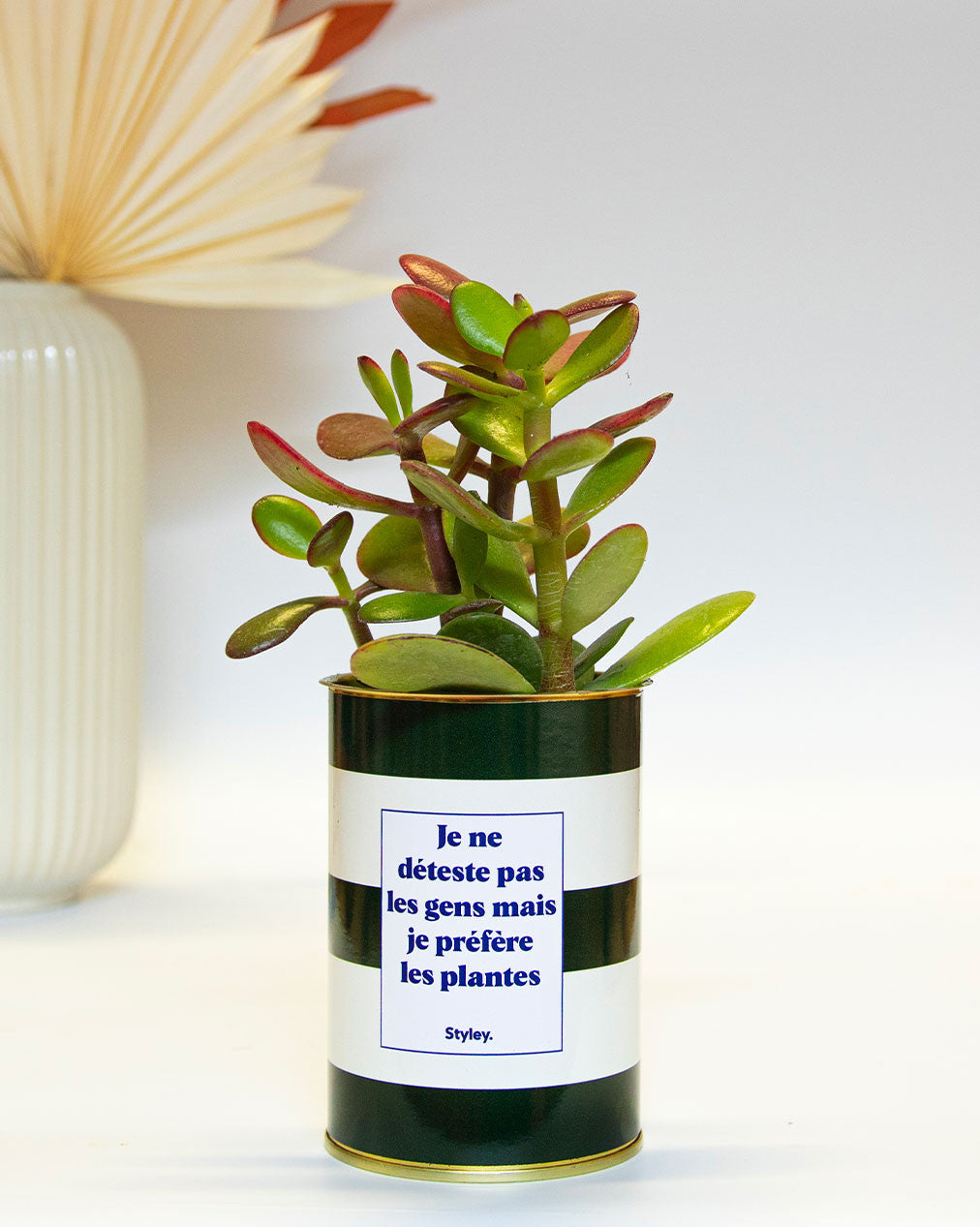 Je ne déteste pas les gens mais je préfère les plantes - Cactus