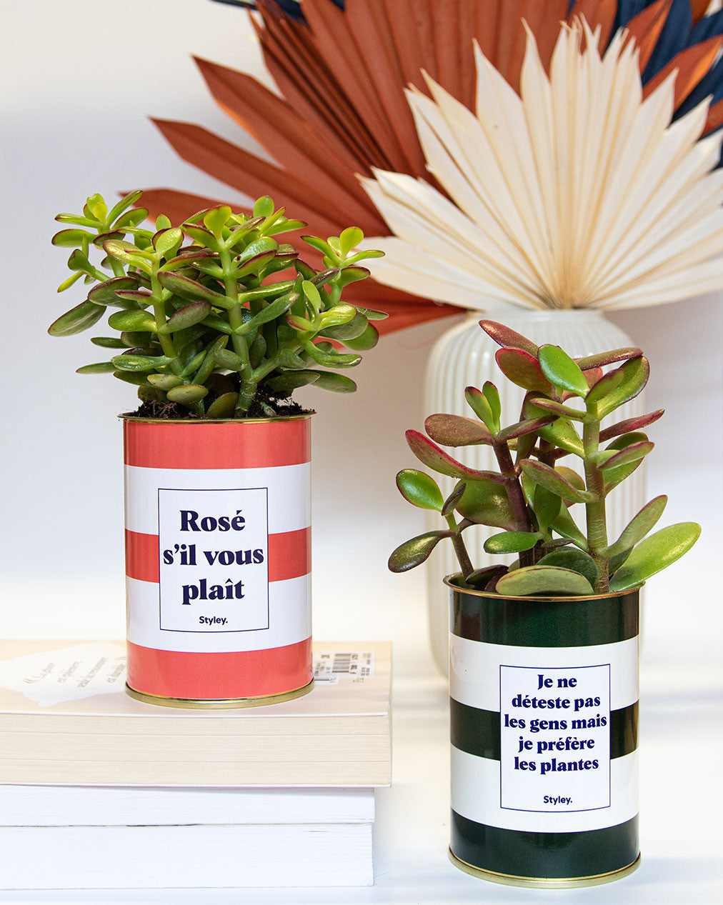 Je ne déteste pas les gens mais je préfère les plantes - Cactus
