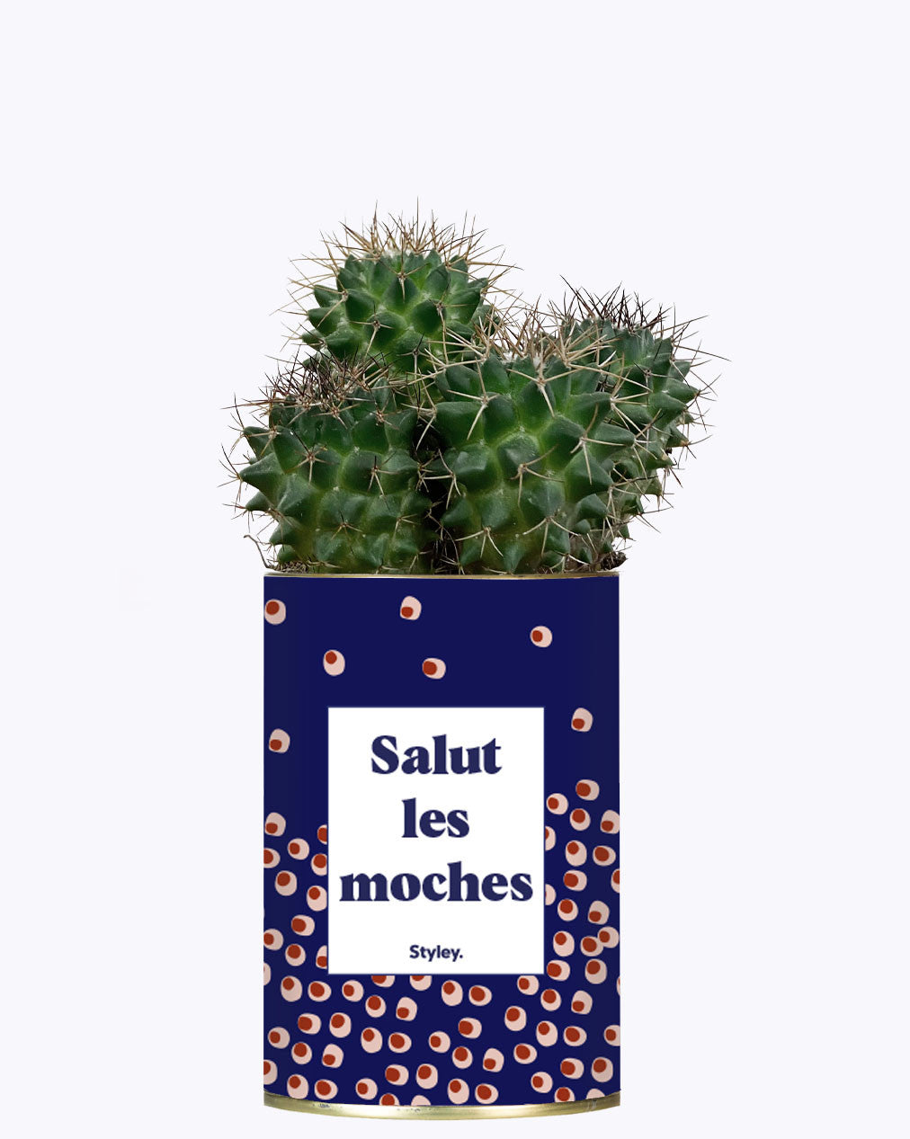 Salut les moches - Cactus