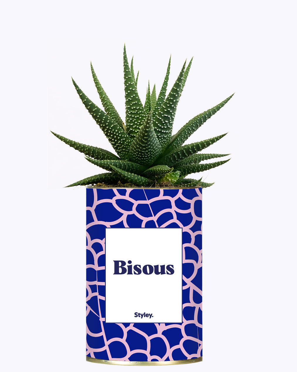 Bisous - Cactus