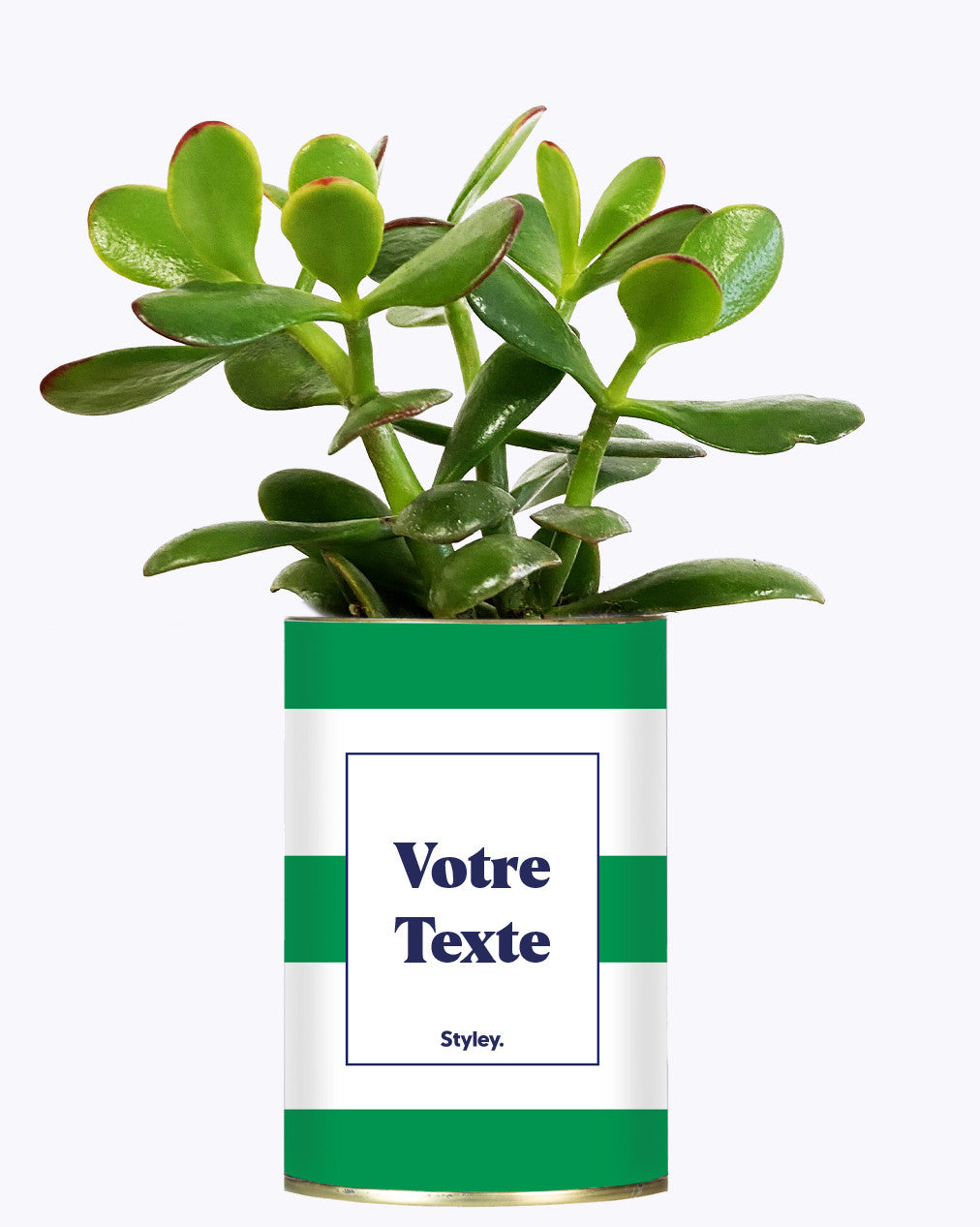 Cactus Mojito - Personnalisable