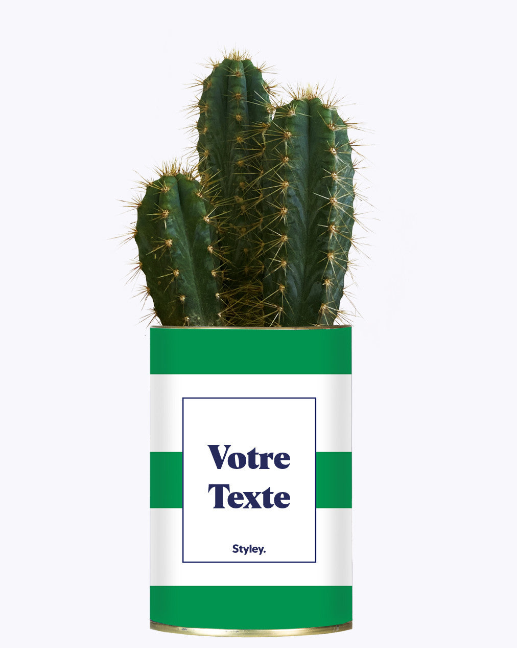 Cactus Mojito - Personnalisable