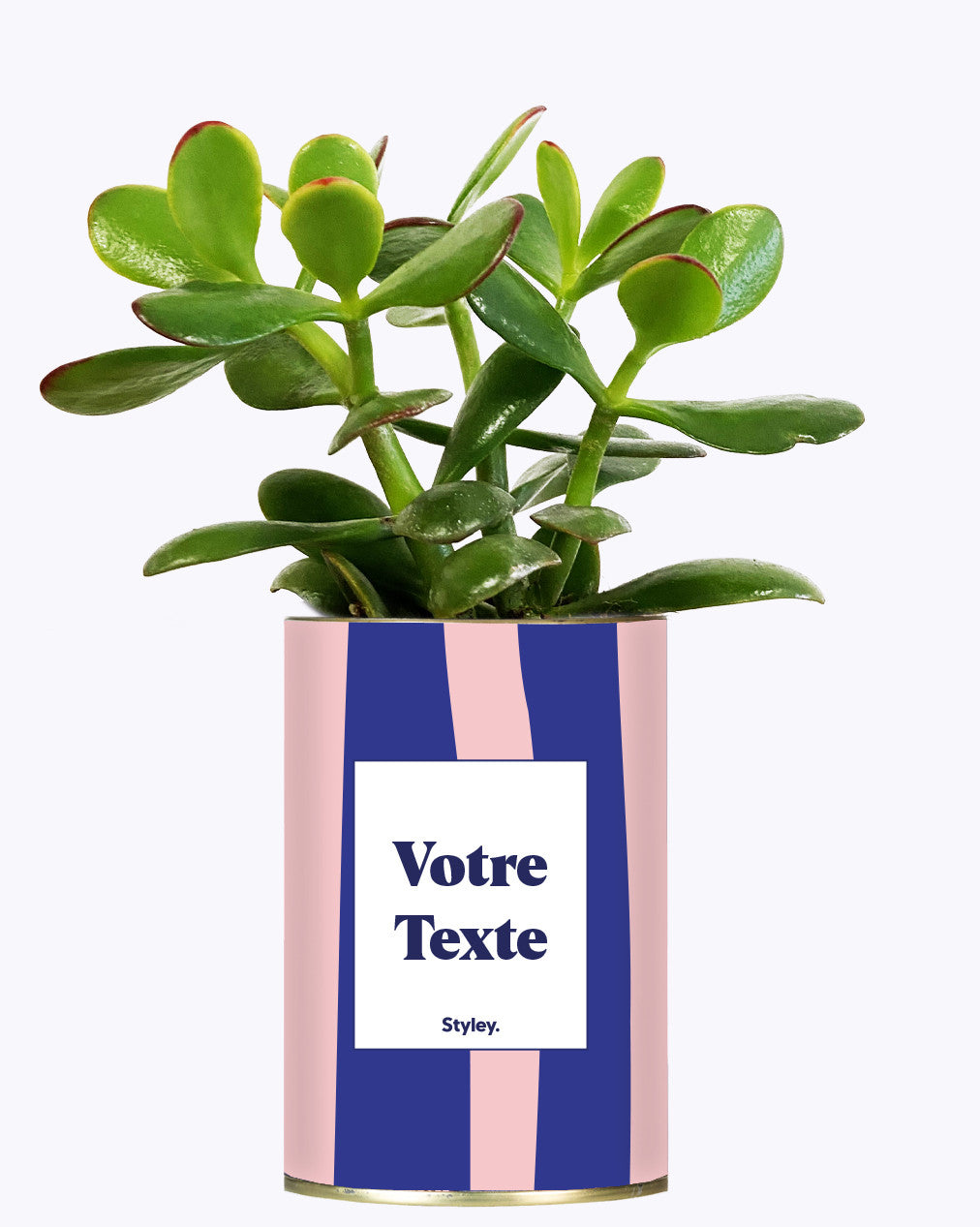 Cactus Parme - Personnalisable
