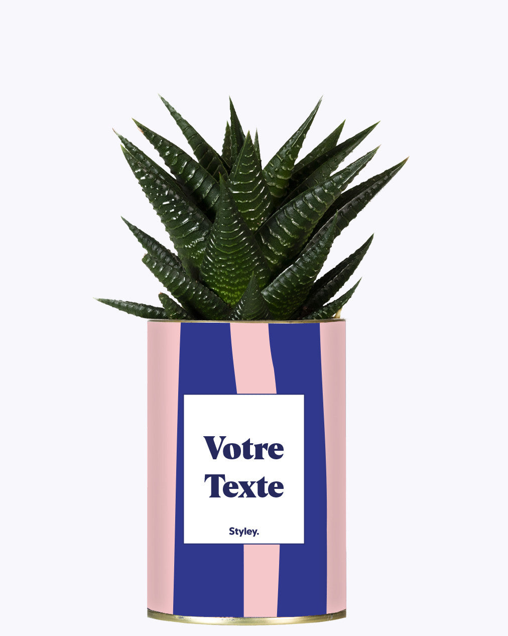 Cactus Parme - Personnalisable