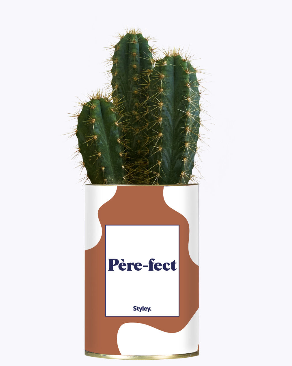 Père-fect - Cactus