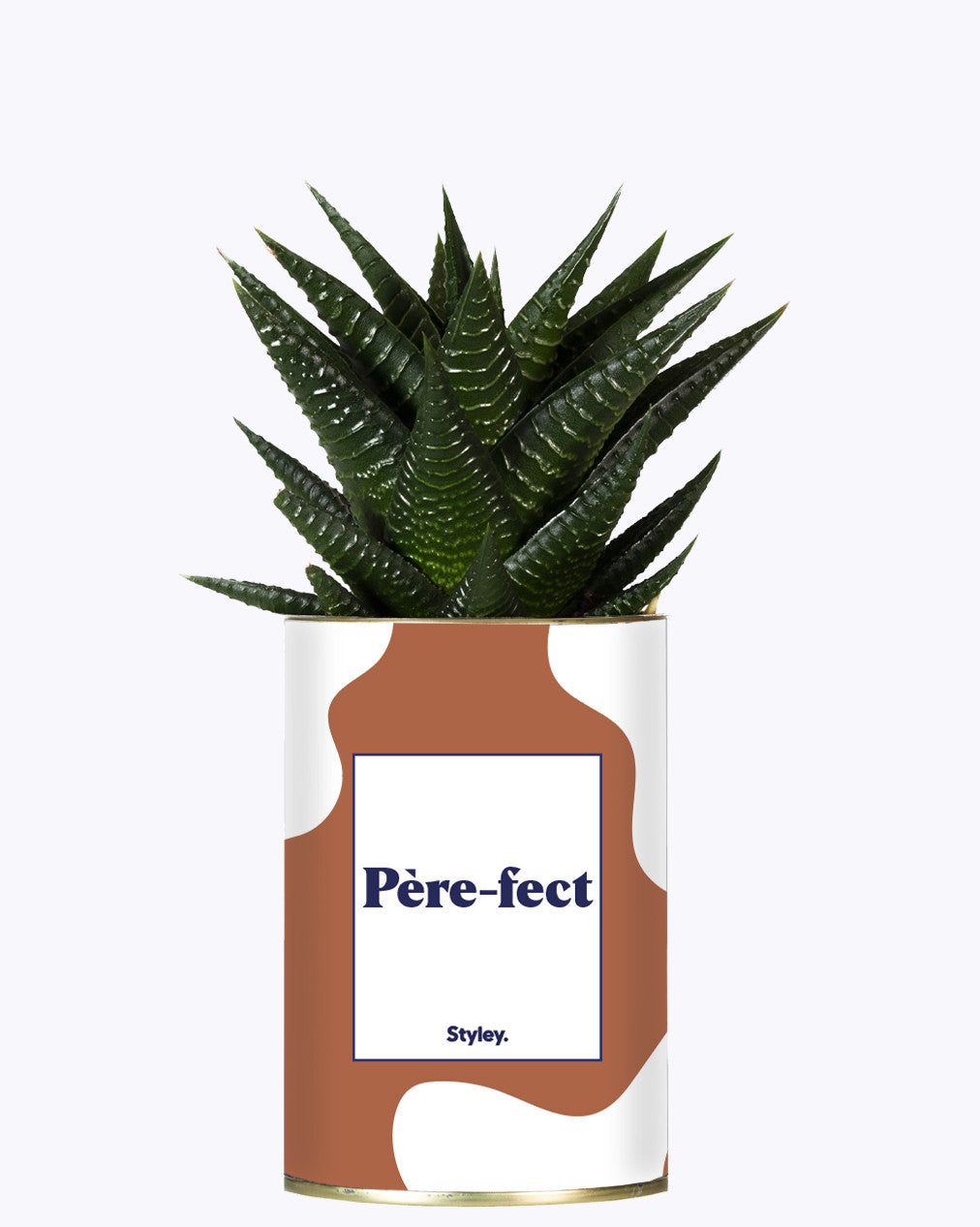 Père-fect - Cactus