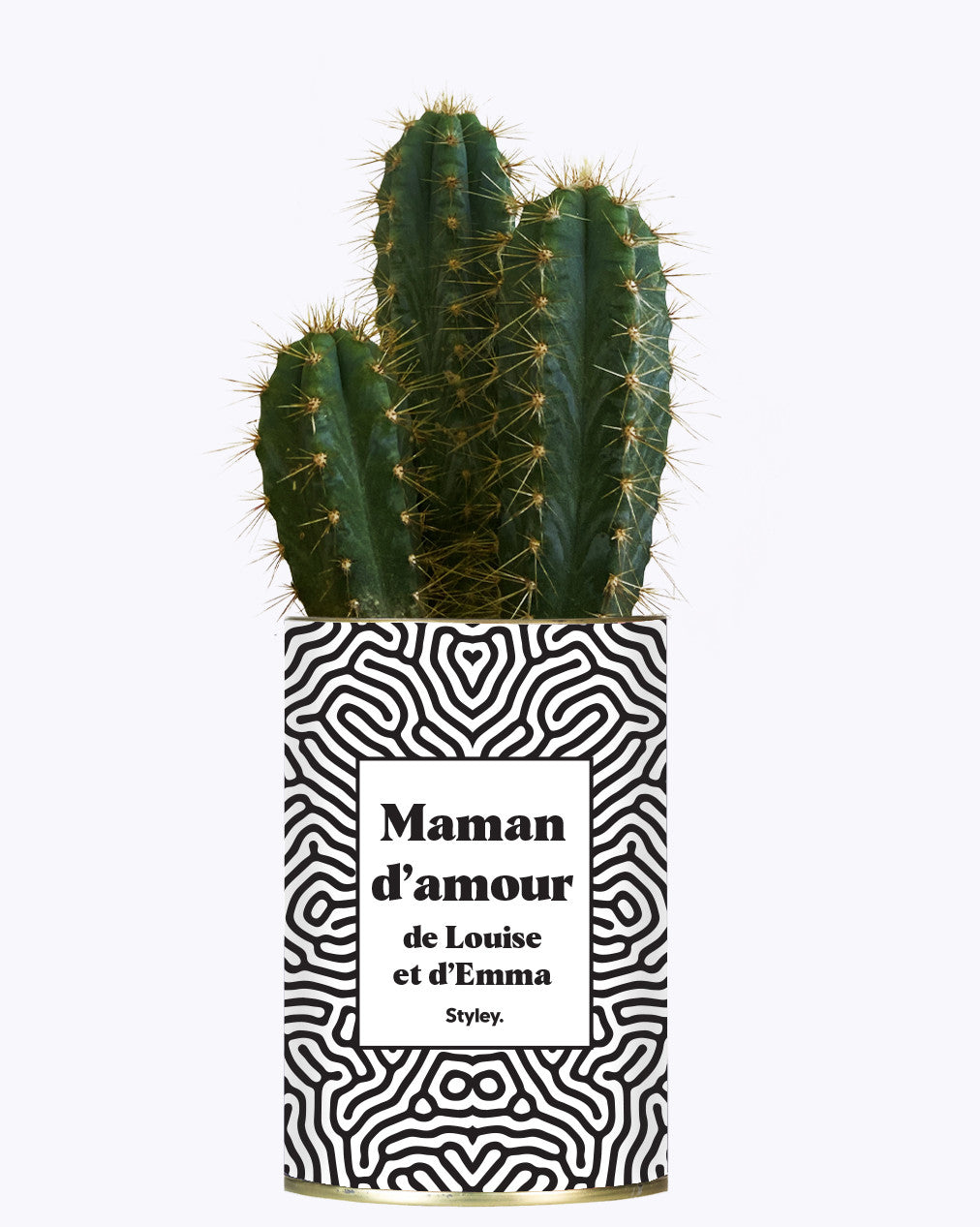 Maman d'amour personnalisable - Cactus