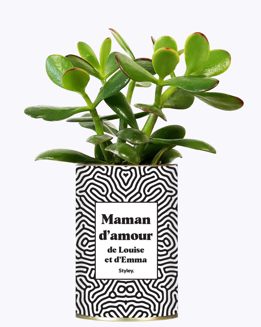 Maman d'amour personnalisable - Cactus