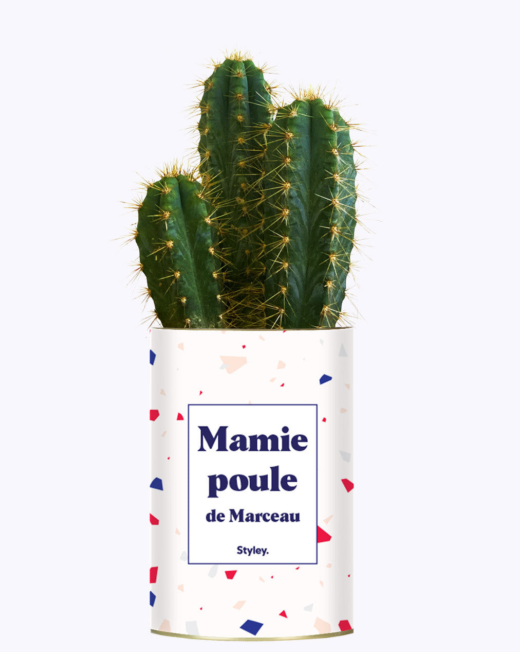 Mamie poule personnalisable - Cactus