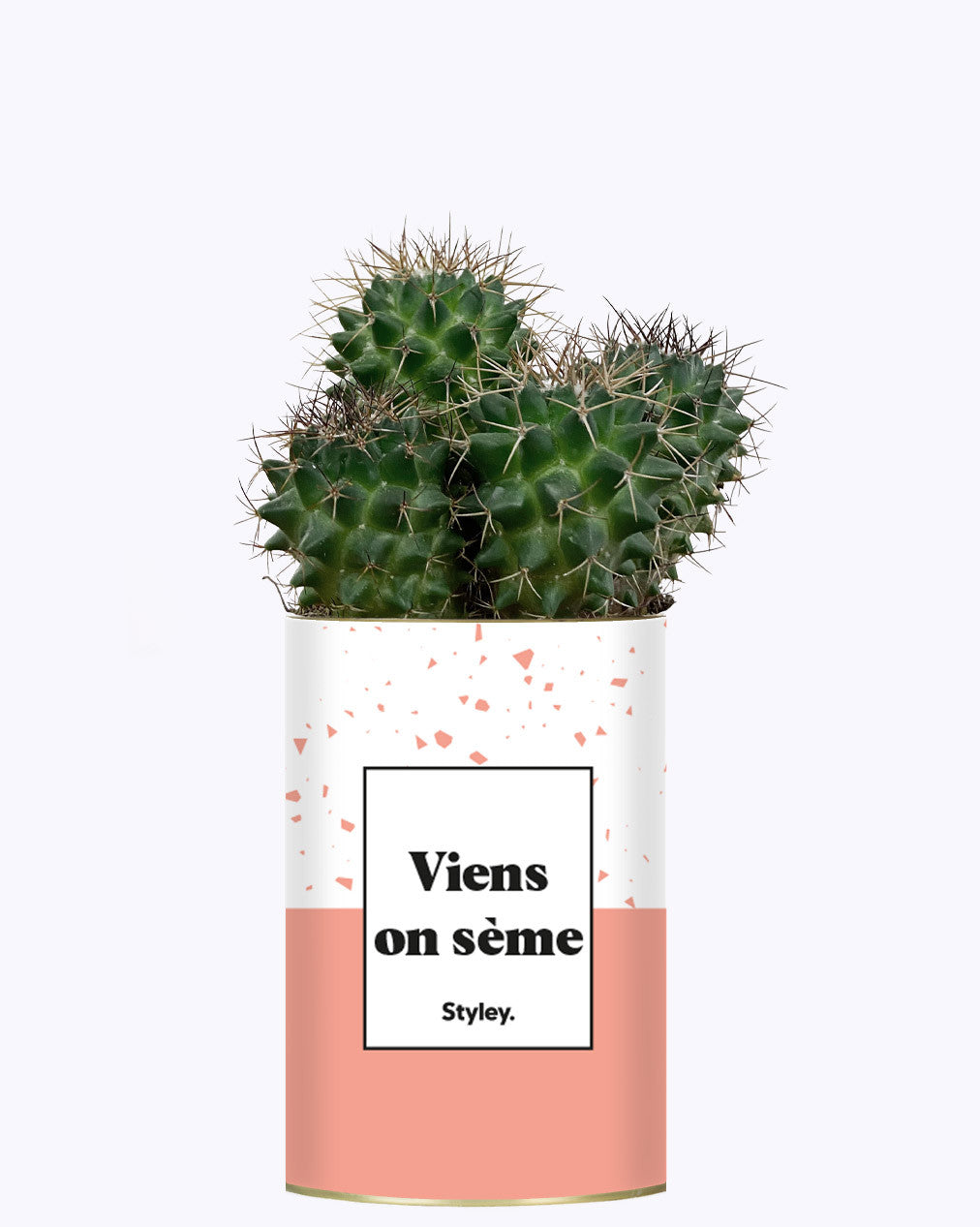 Viens on sème - Cactus