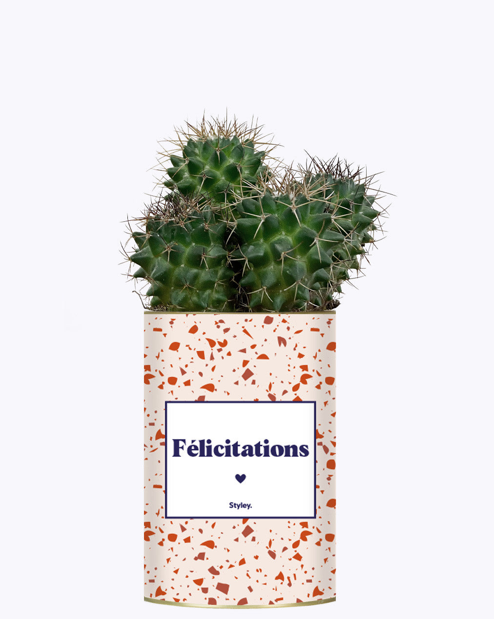 Félicitations - Cactus