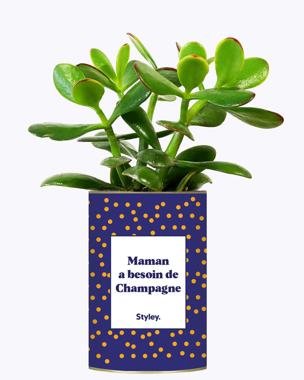 Maman a besoin de champagne - Cactus