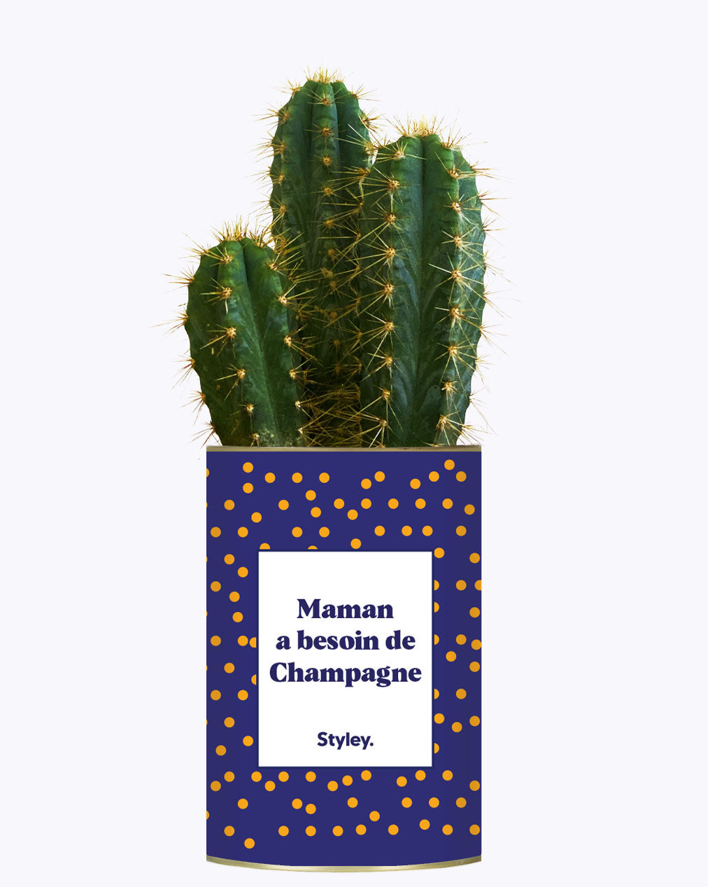 Maman a besoin de champagne - Cactus