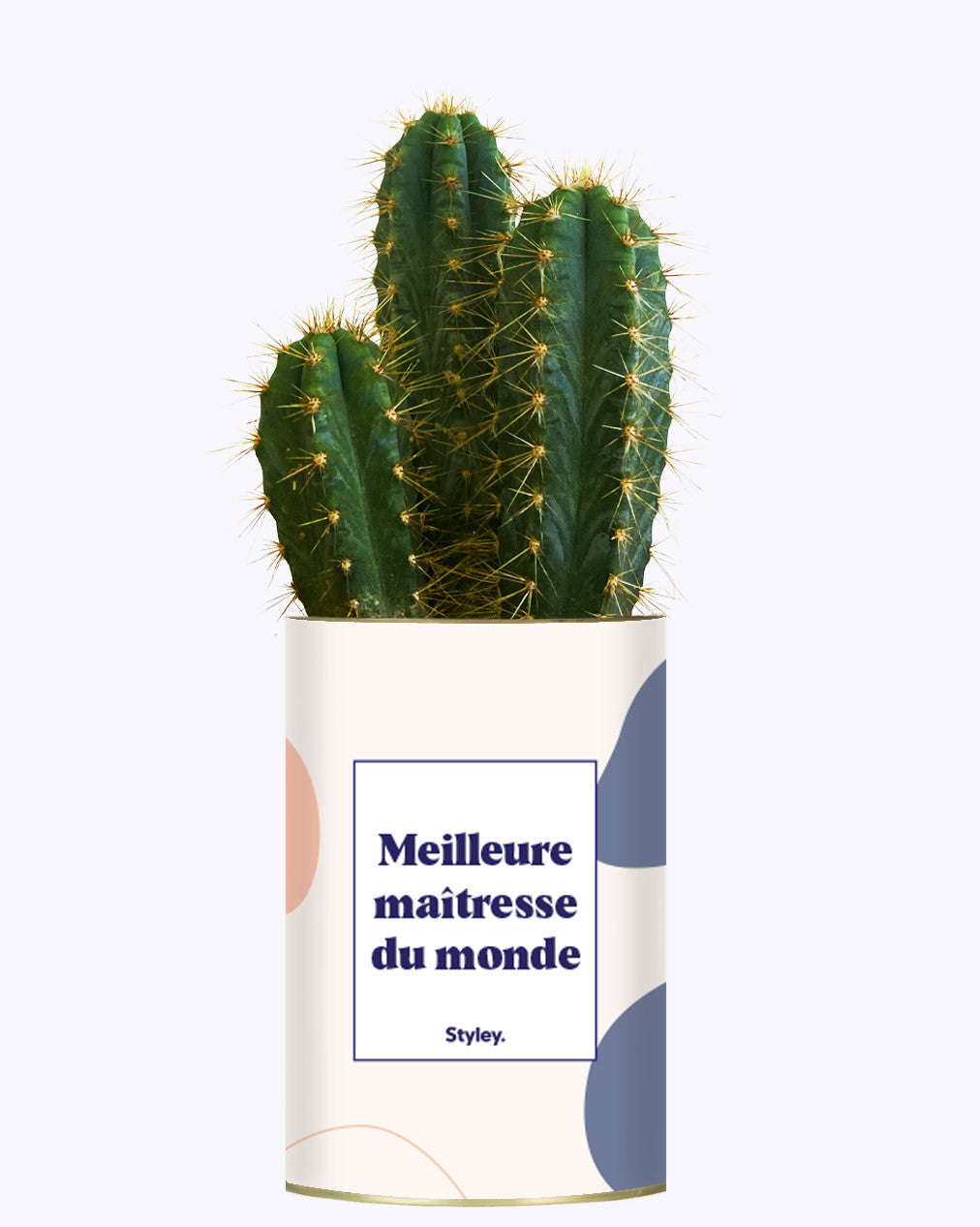Meilleure maîtresse du monde - Cactus
