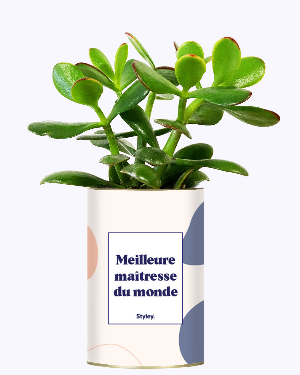 Meilleure maîtresse du monde - Cactus