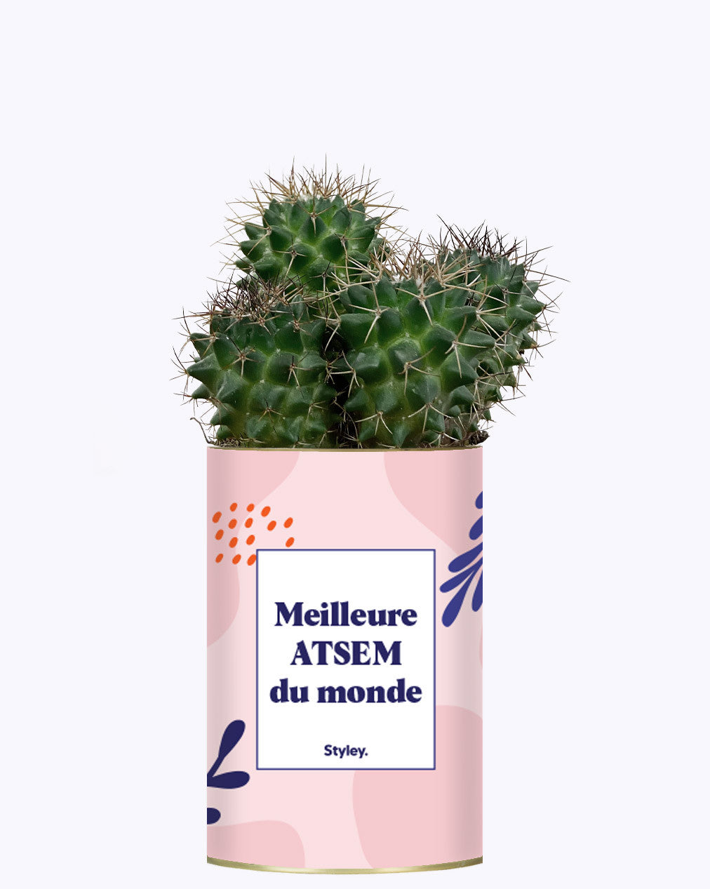 Meilleure ATSEM du monde - Cactus