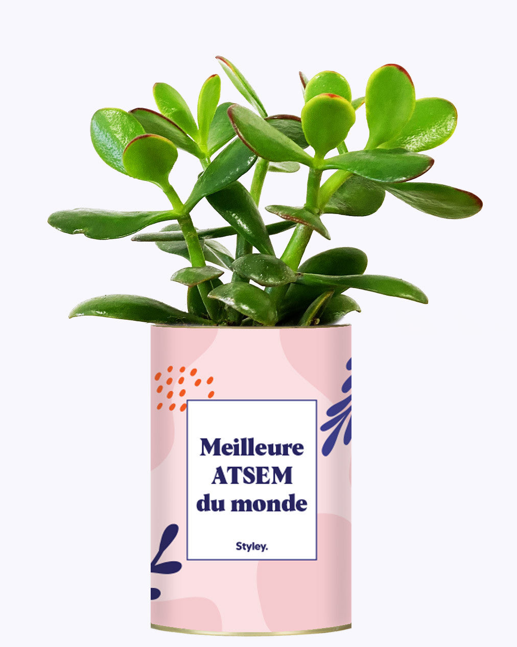 Meilleure ATSEM du monde - Cactus