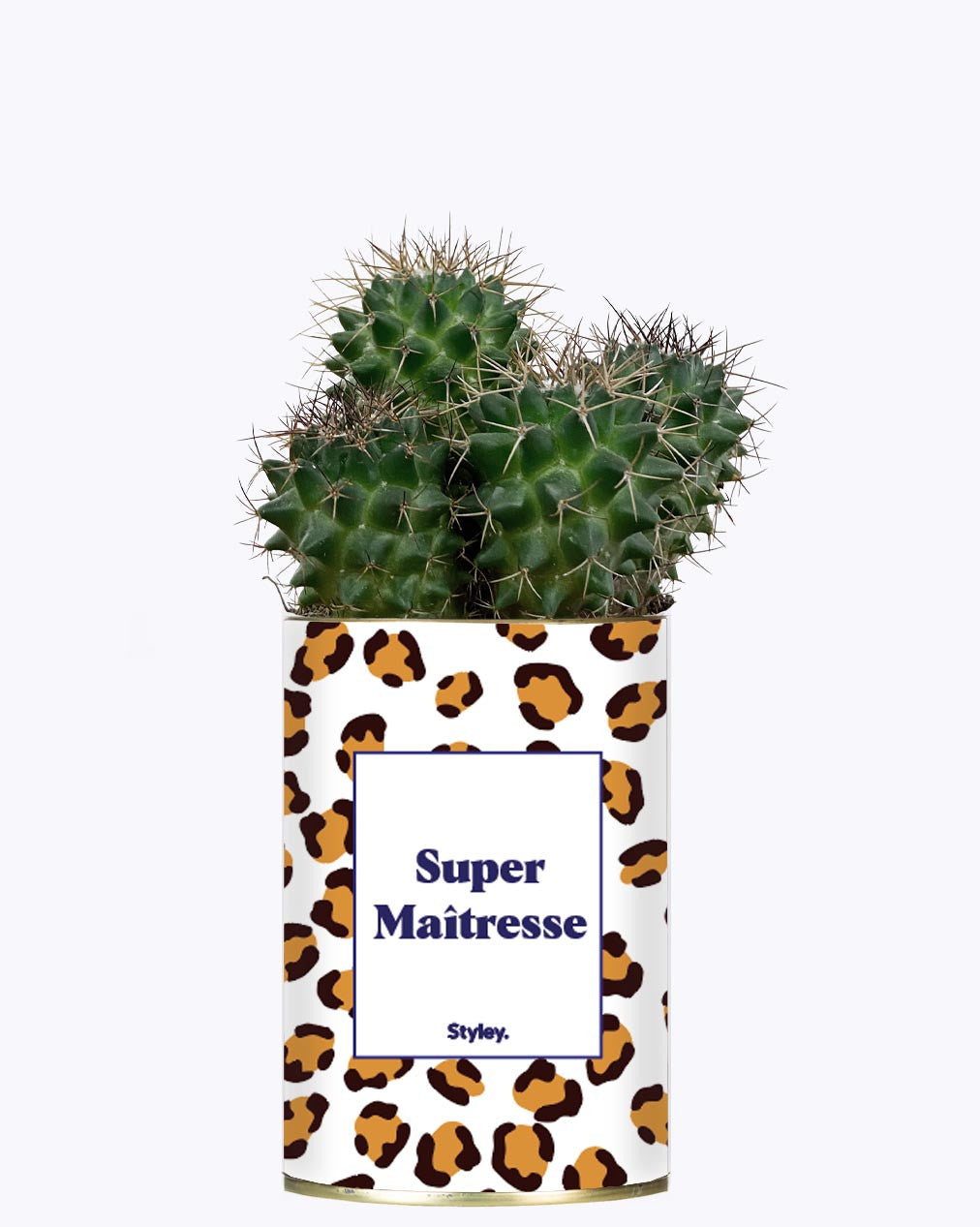 Super Maîtresse - Cactus