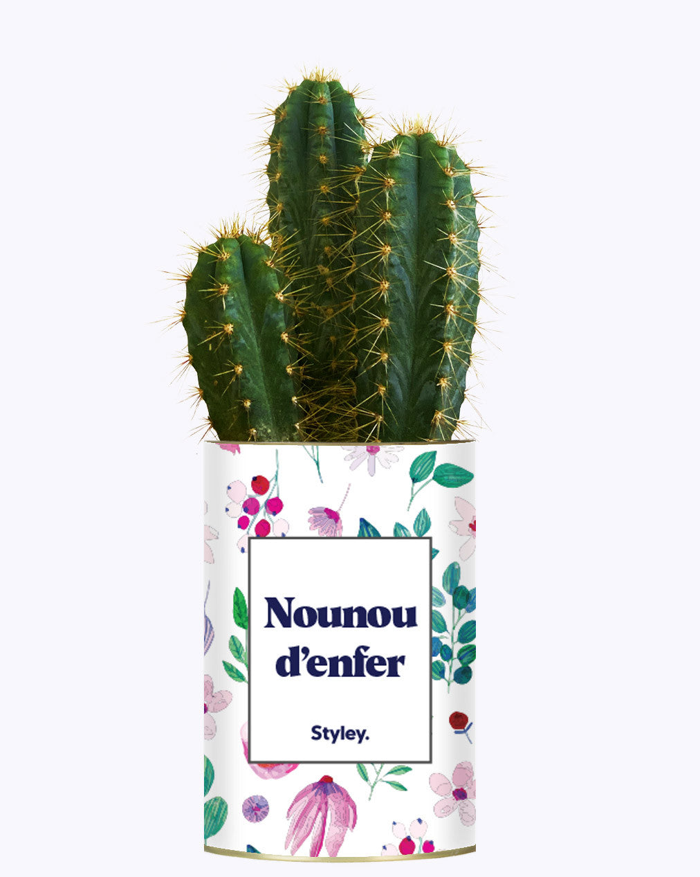 Nounou d'enfer - Cactus