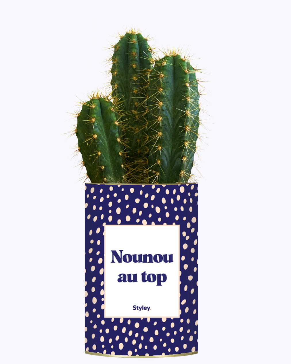 Nounou au top - Cactus