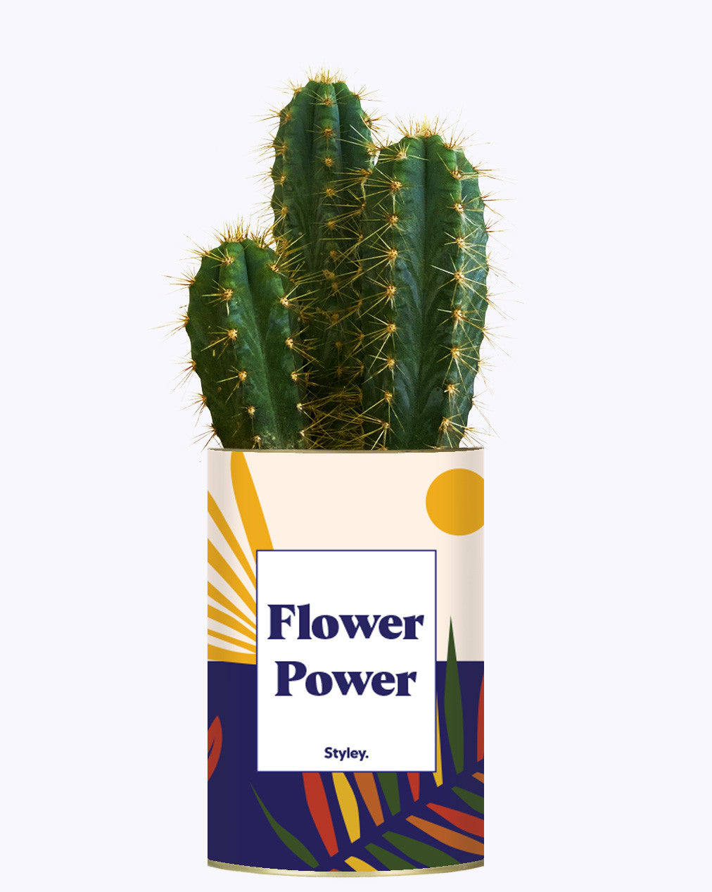 Flower Power - Cactus