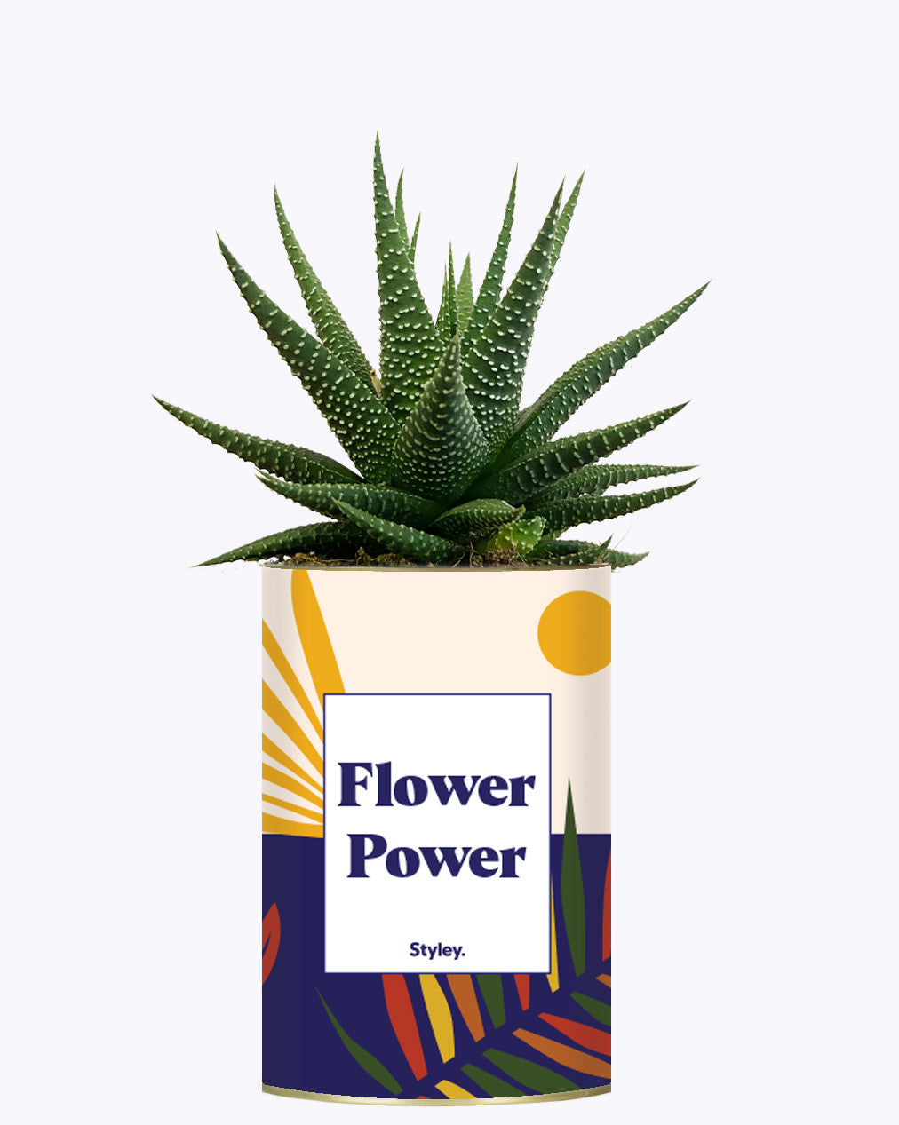 Flower Power - Cactus