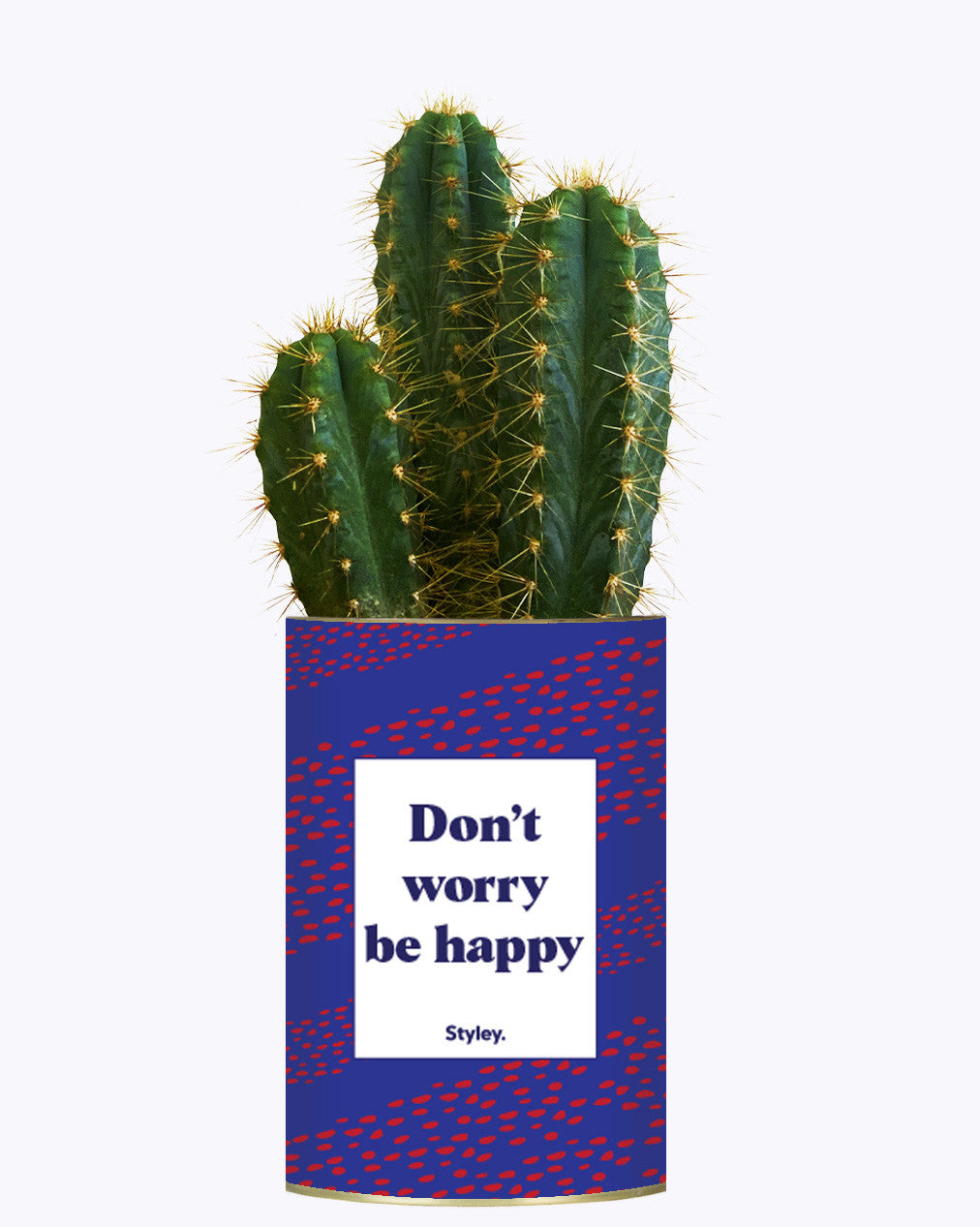 Don't worry be happy - Cactus