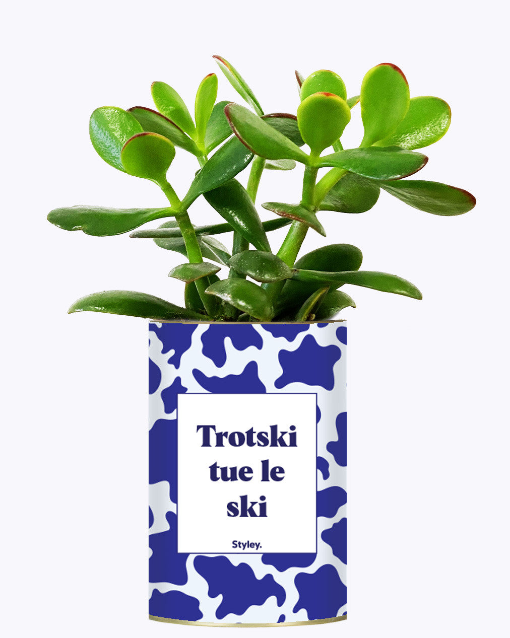 Trotski tue le ski - Cactus