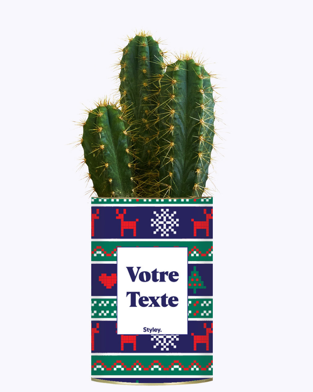 Plante de Noël Personnalisable - Cactus