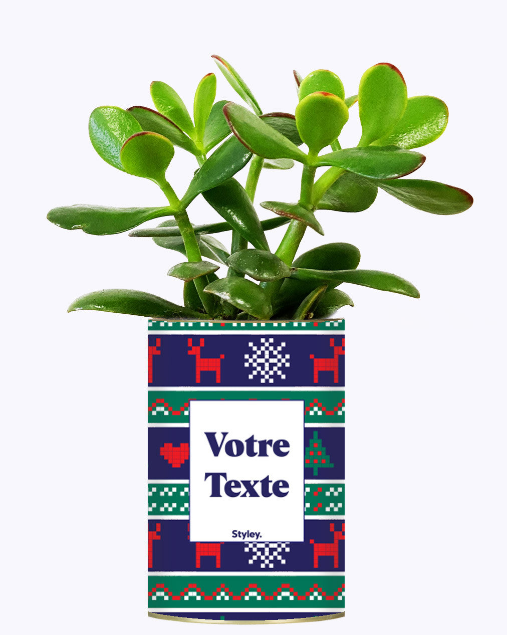 Plante de Noël Personnalisable - Cactus