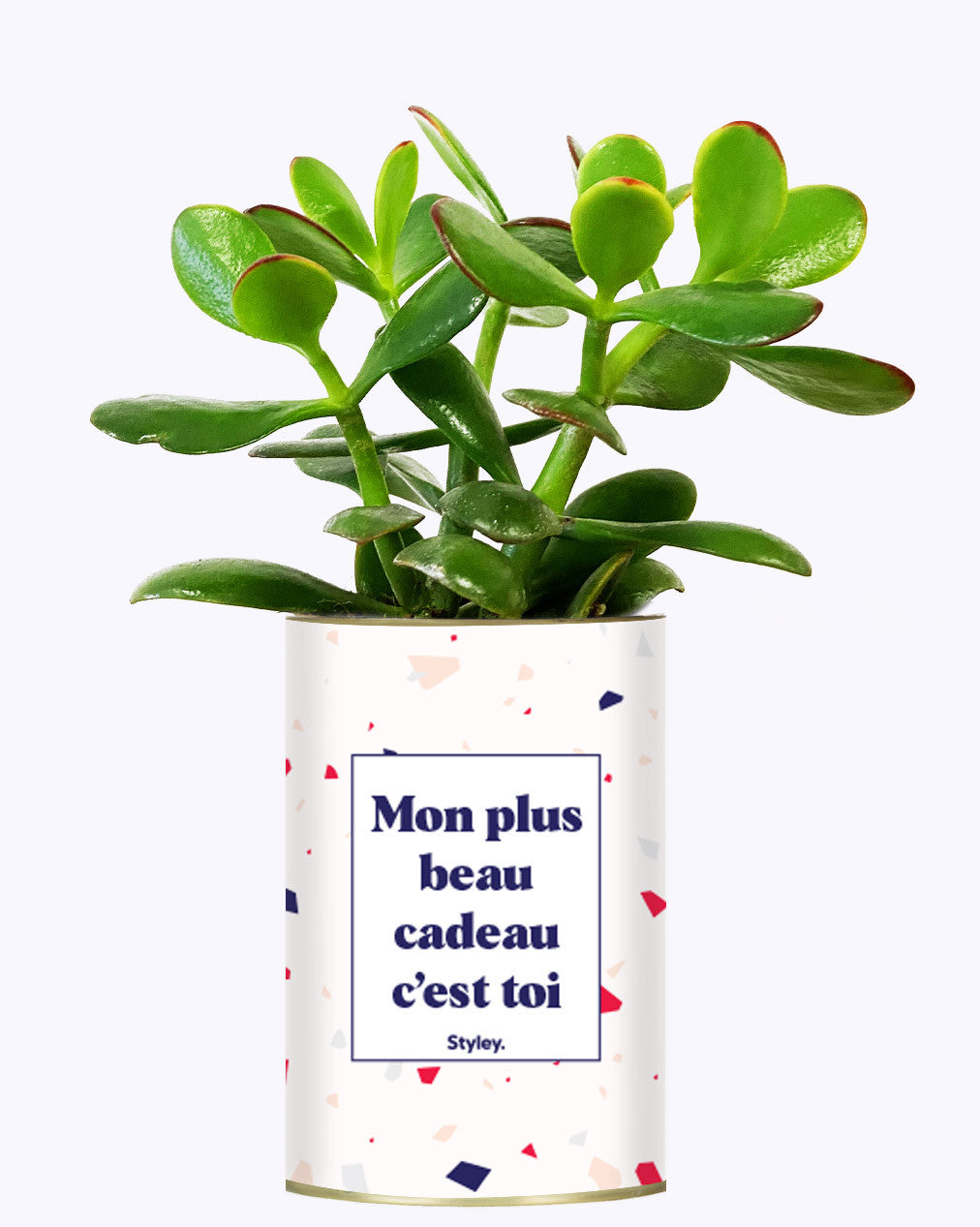 Mon plus beau cadeau c'est toi - Cactus