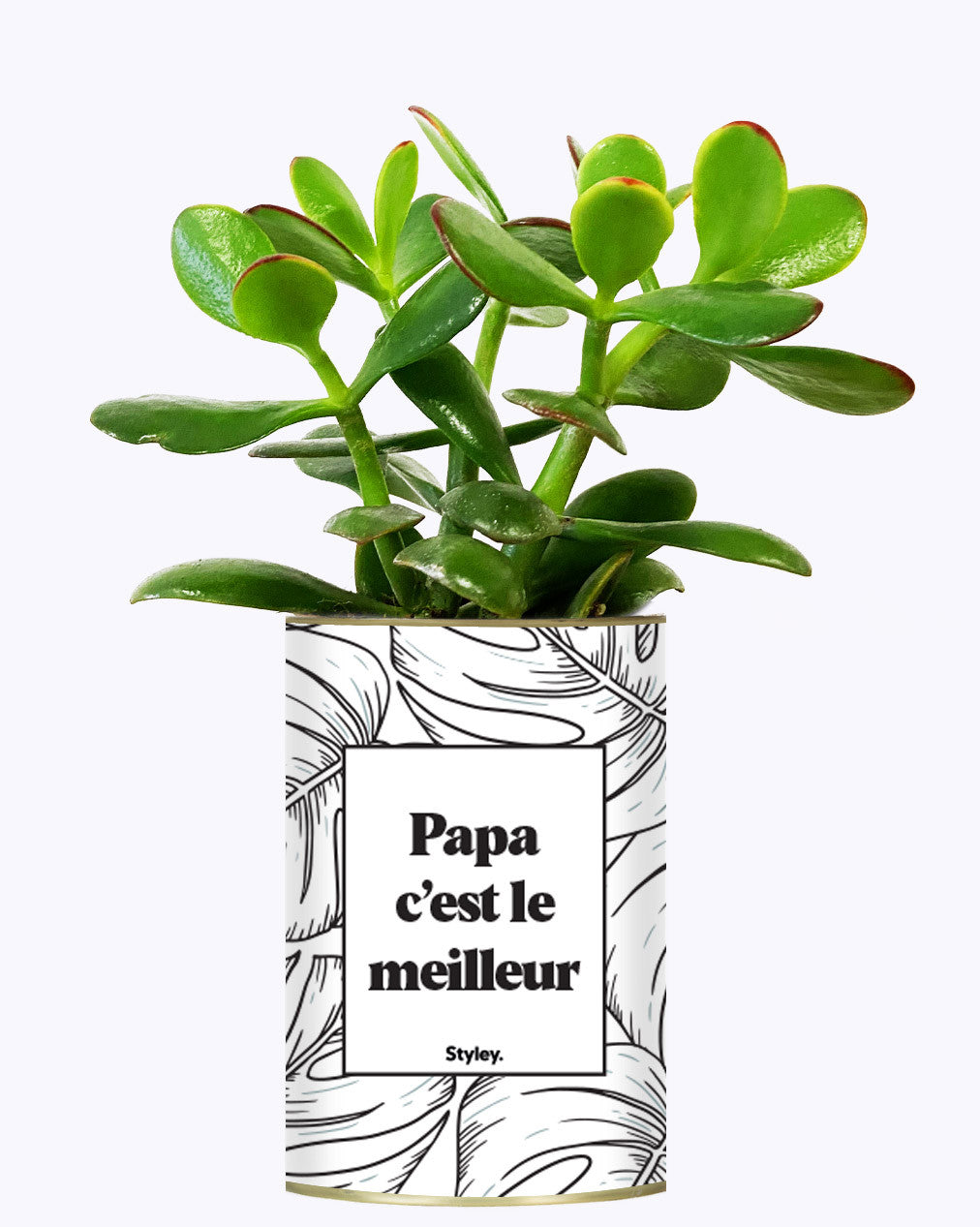 Papa c'est le meilleur - Cactus