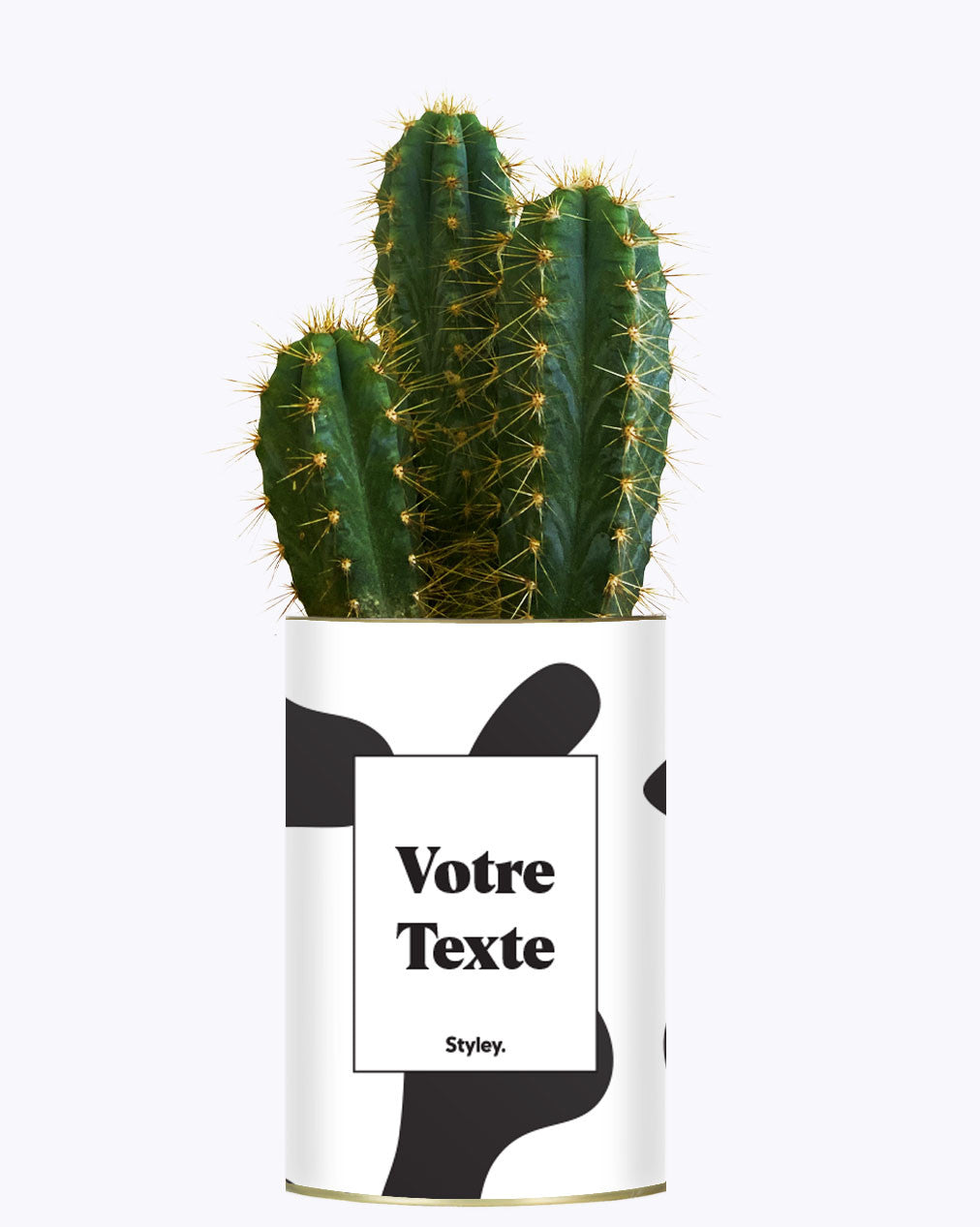 Cactus vache - Personnalisable