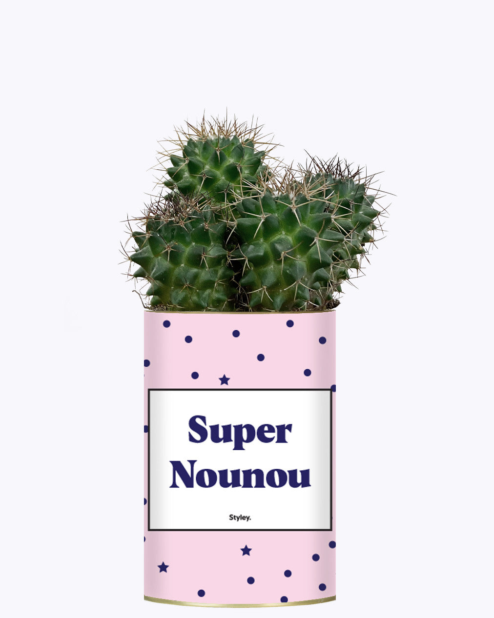 Super Nounou - Cactus