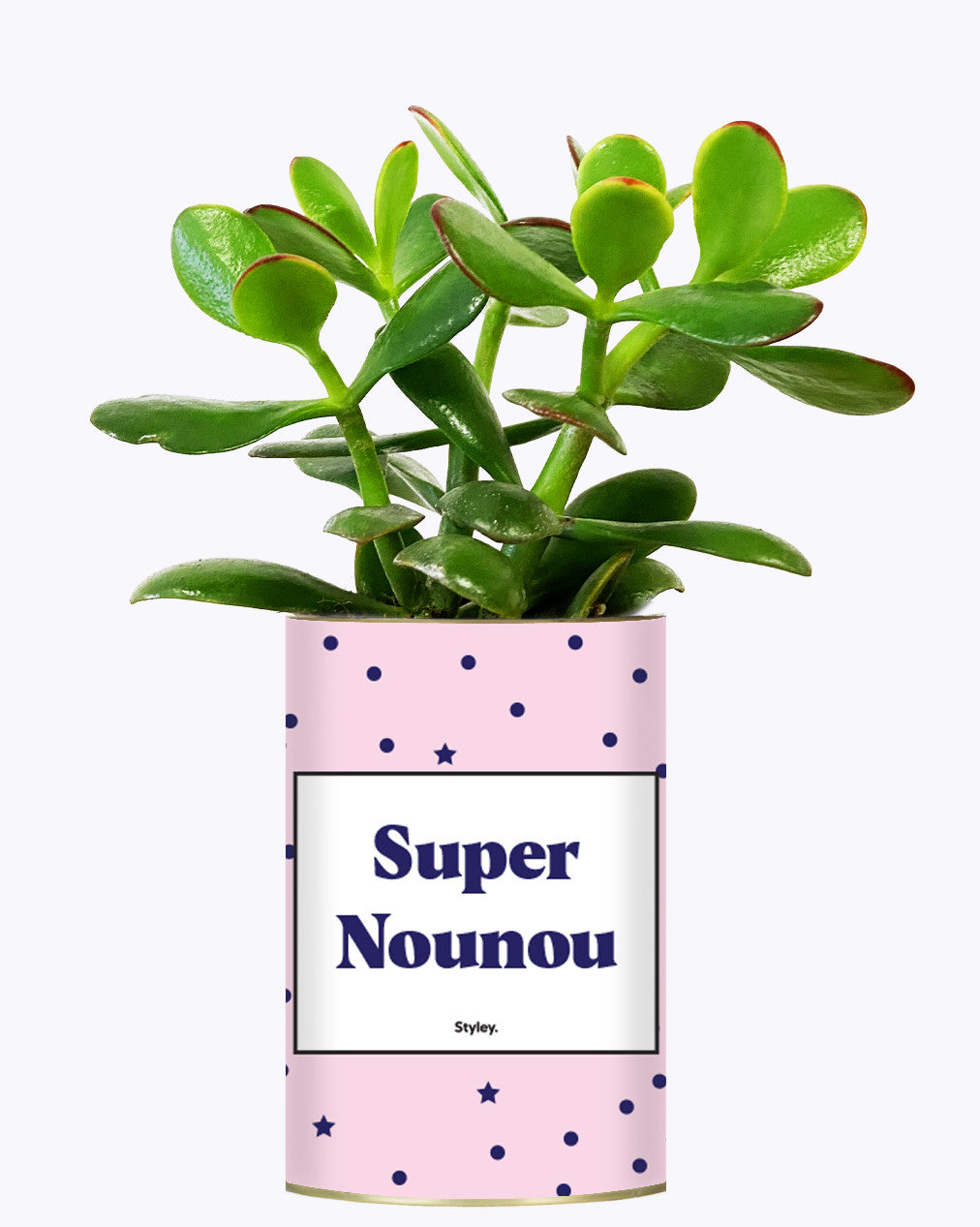 Super Nounou - Cactus