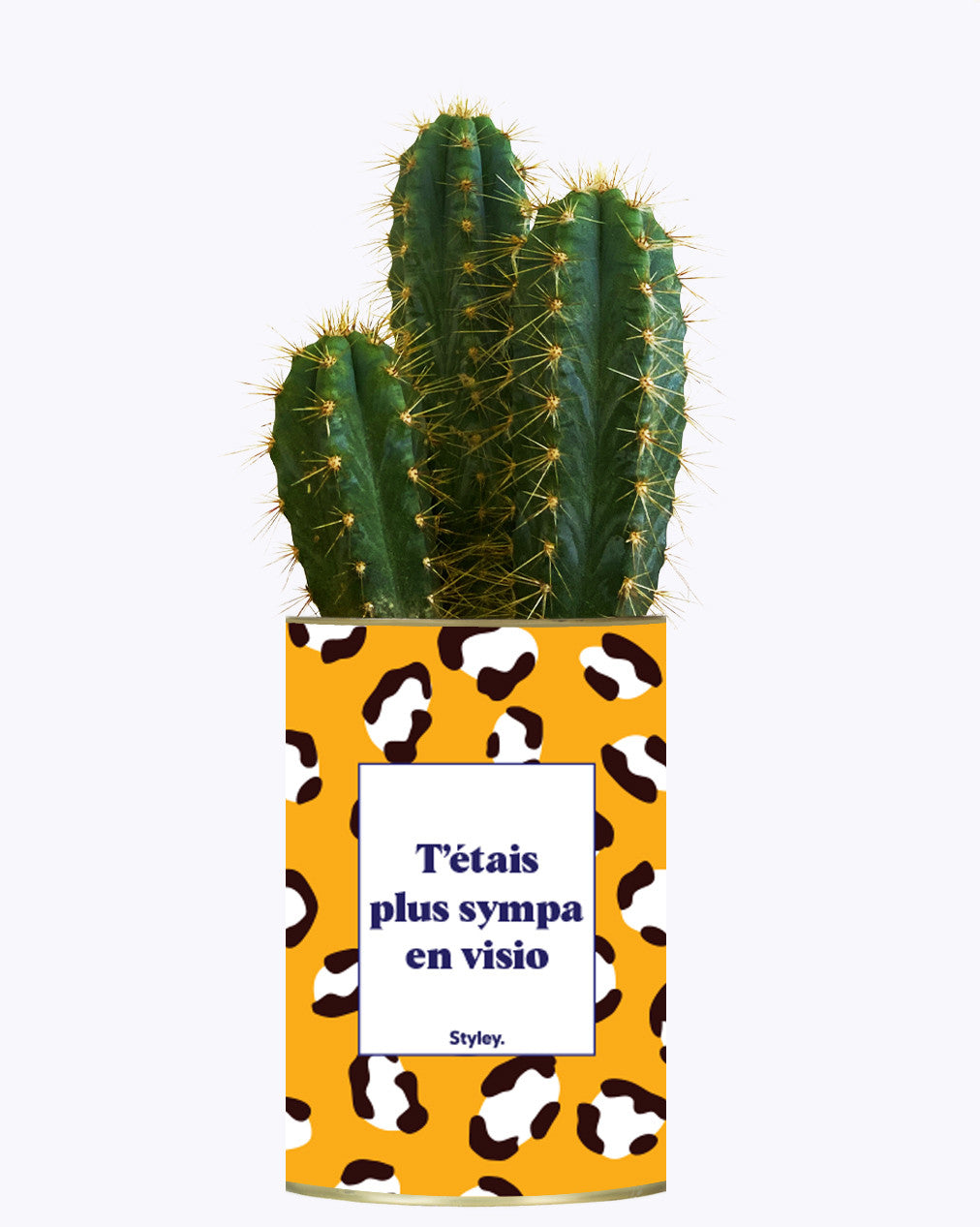 T'étais plus sympa en visio - Cactus