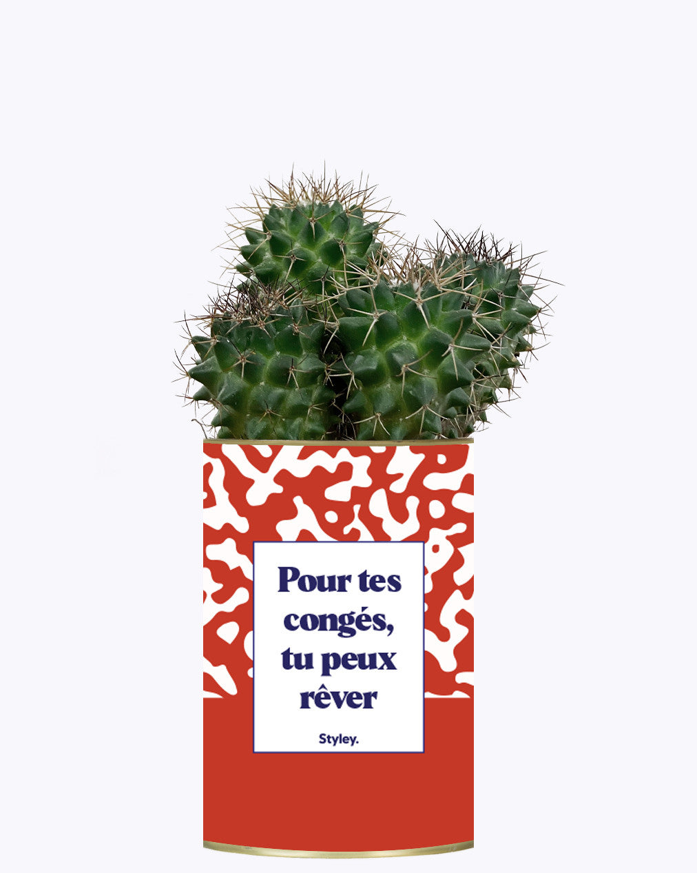 Pour tes congés, tu peux rêver - Cactus